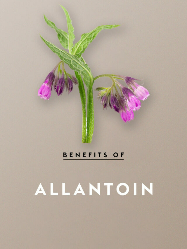 Benefits Of Allantoin