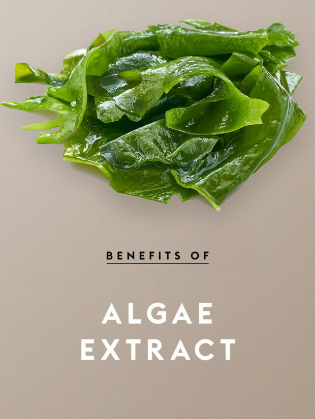Benefits Of Algae Extract