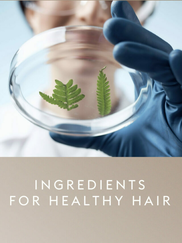 Ingredients For Healthy Hair