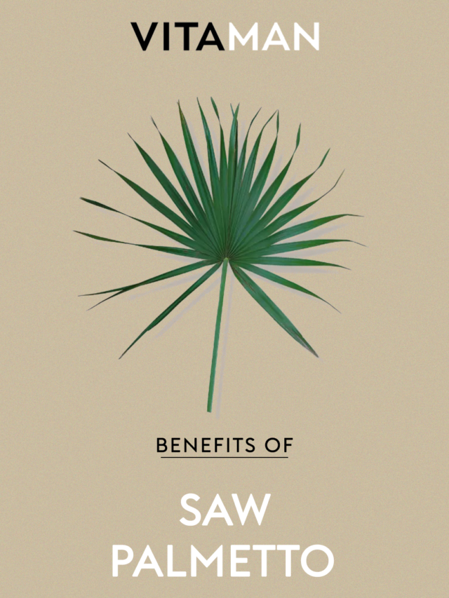 Benefits of Saw Palmetto